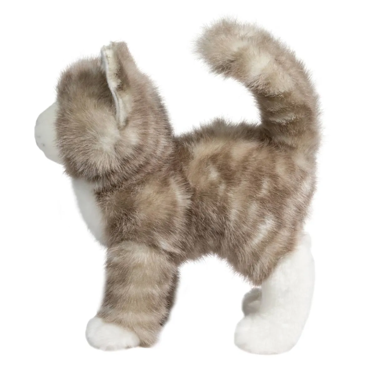 Zipper Gray Tabby Cat