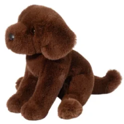 Zoom Chocolate Lab