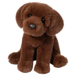 Zoom Chocolate Lab