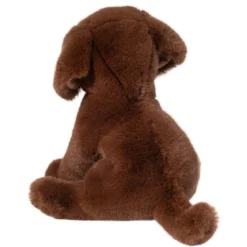 Zoom Chocolate Lab
