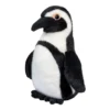 Zuri African Penguin