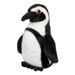 Zuri African Penguin