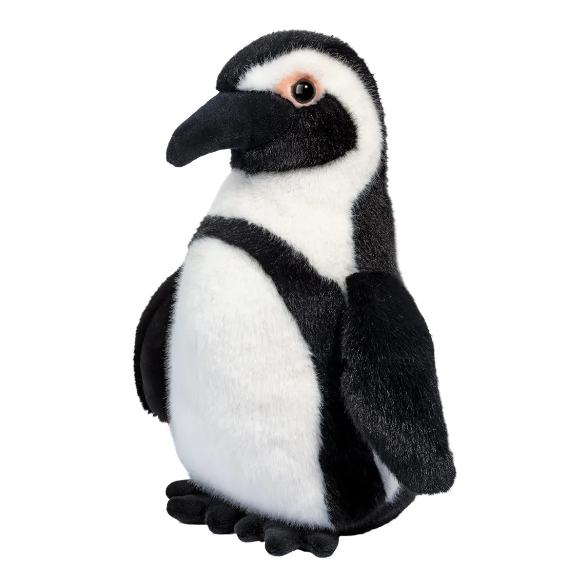 Zuri African Penguin
